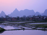 Pechino