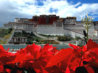 Lhasa